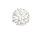 Paparazzi Accessories - Bloomin Bloomer - White Ring