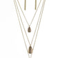 Paparazzi Accessories  - Sonoran Storm #N478 Peg - Brass Necklace